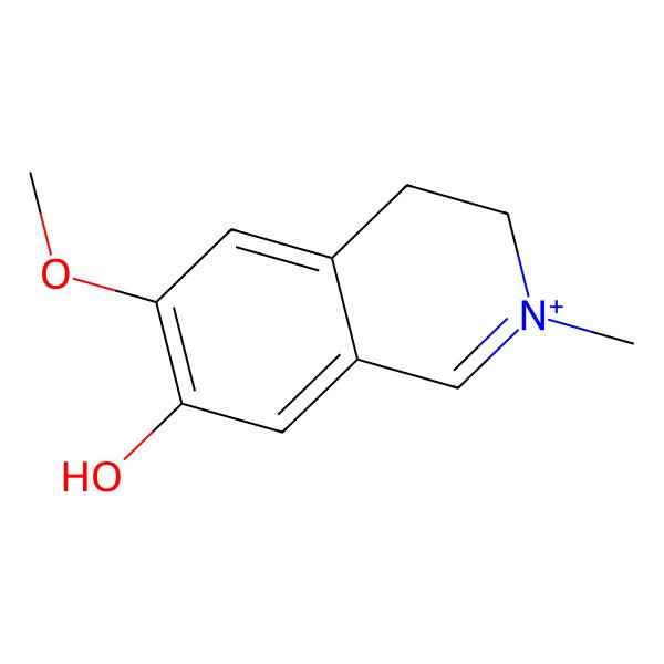 2D Structure of Pycnarrhine