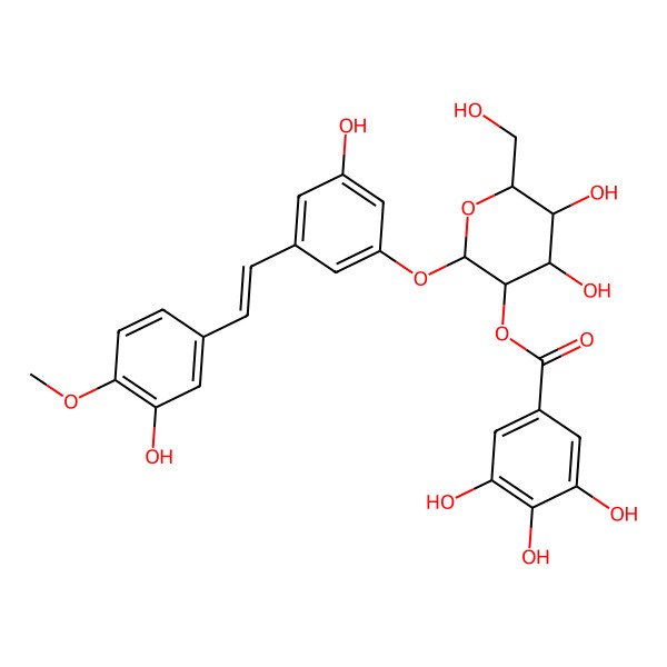 2D Structure of Rhaponticin 2''-O-gallate