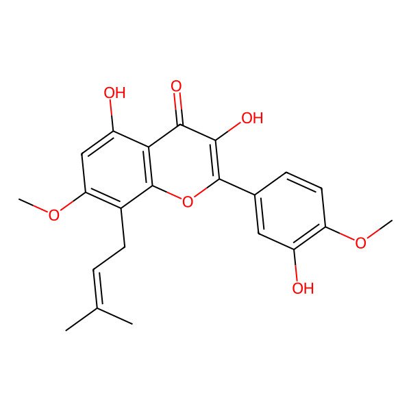 2D Structure of Rhynchospermin