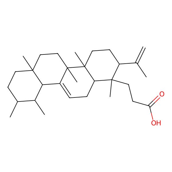 2D Structure of Roburic Acid 2D Structure of Roburic Acid