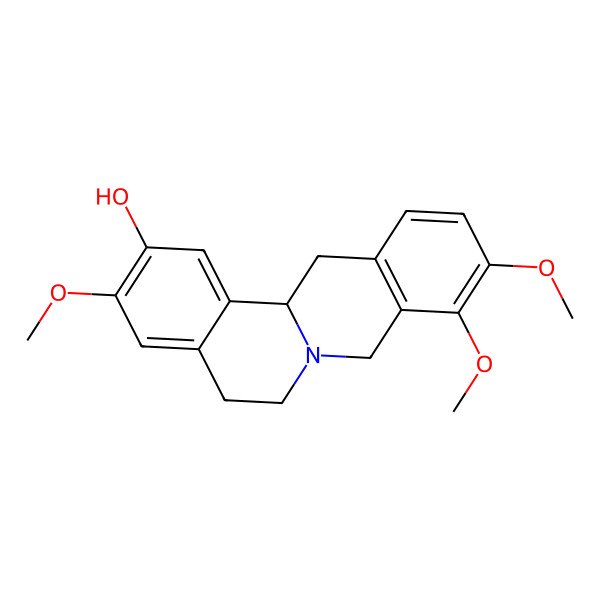 2D Structure of (S)-Tetrahydrocolumbamine 2D Structure of (S)-Tetrahydrocolumbamine