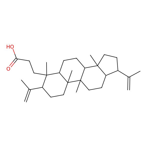 2D Structure of Sebiferic acid