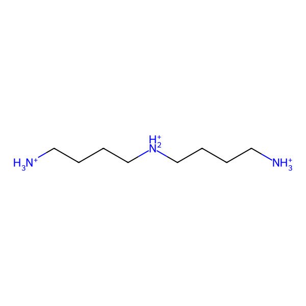 2D Structure of Sym-homospermidinium(3+) 2D Structure of Sym-homospermidinium(3+)