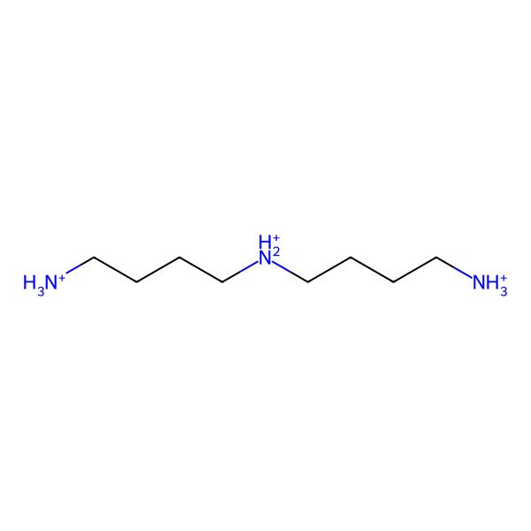 2D Structure of Sym-homospermidinium(3+)