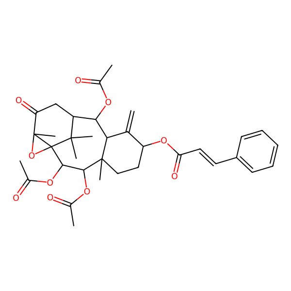 2D Structure of [(1R,2S,3R,4R,7S,9R,10R,11R,14S)-2,3,10-triacetyloxy-4,14,16,16-tetramethyl-8-methylidene-13-oxo-15-oxatetracyclo[9.4.1.01,14.04,9]hexadecan-7-yl] (E)-3-phenylprop-2-enoate