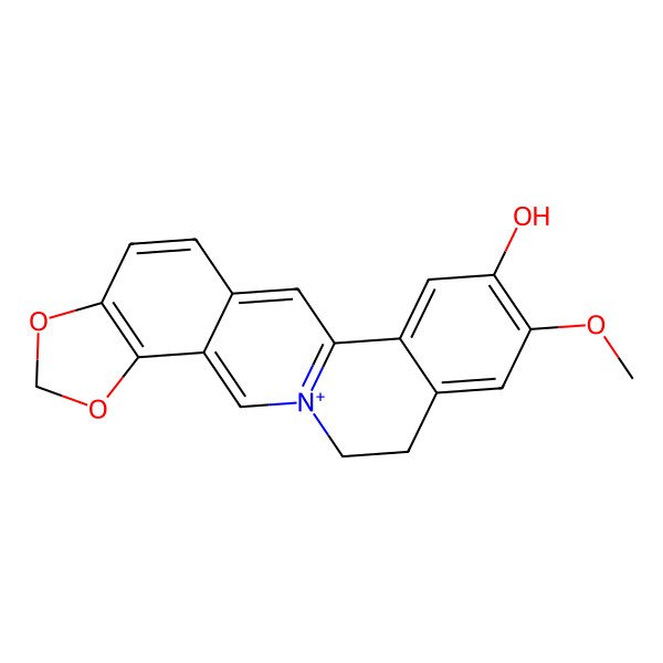 2D Structure of Tetrahydroscoulerine