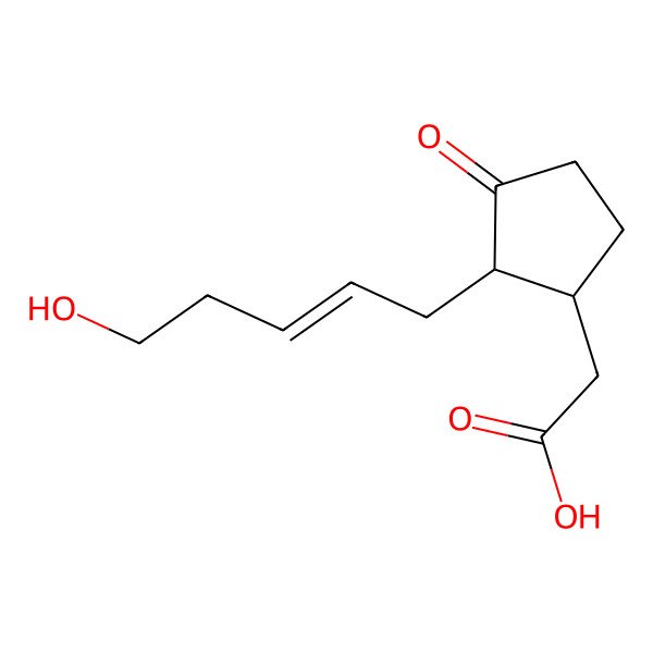 2D Structure of (+)-Tuberonic acid
