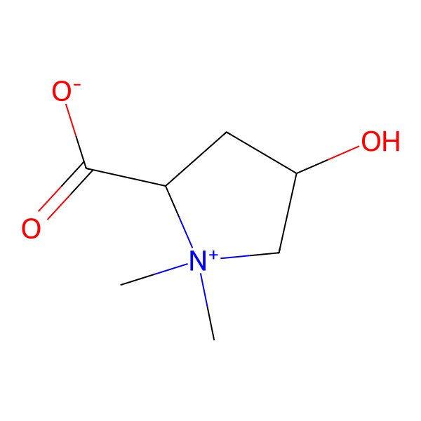 2D Structure of Turicine