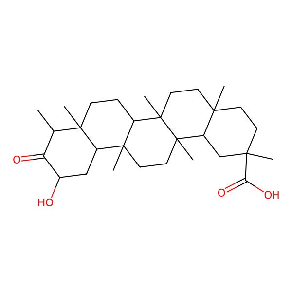 2D Structure of Wilfolic acid C