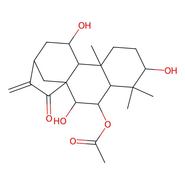 2D Structure of Xindongnin B 2D Structure of Xindongnin B