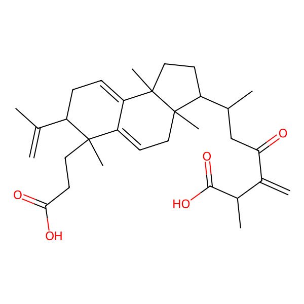 2D Structure of (+)-23-Oxo-3,4-seco-lanosta-4(28),7(8),9(11),24(31)-tetraene-3,26-dicarboxylic acid