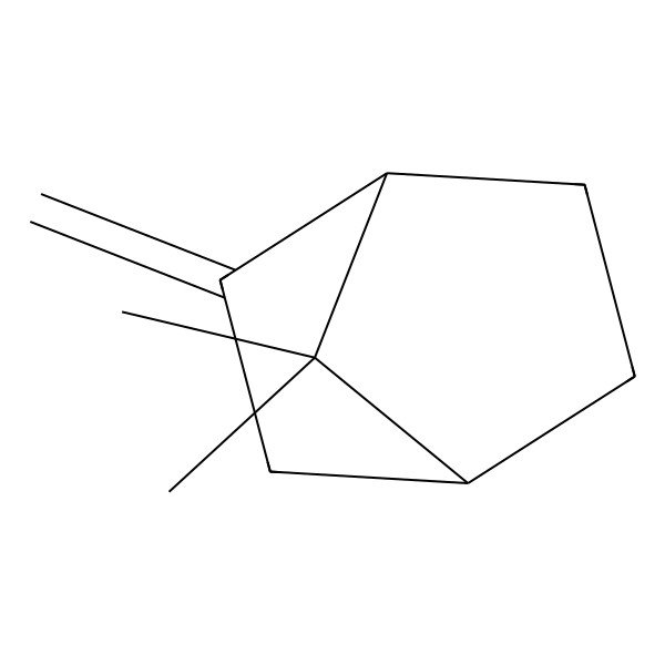 2D Structure of (+)-alpha-Fenchene