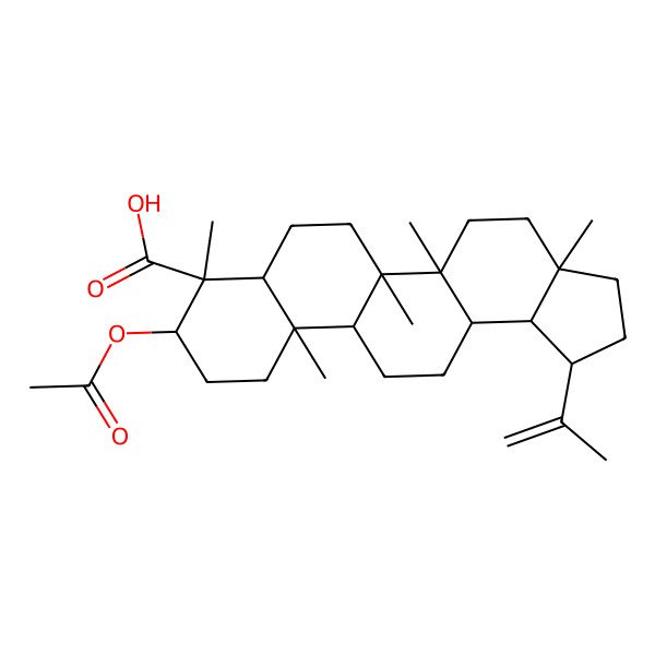 2D Structure of 3alpha-Acetyl-20(29)-lupene-24-oic acid