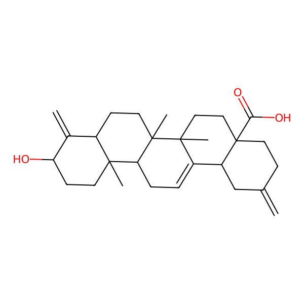 2D Structure of 10-Hydroxy-6a,6b,12a-trimethyl-2,9-dimethylidene-1,3,4,5,6,6a,7,8,8a,10,11,12,13,14b-tetradecahydropicene-4a-carboxylic acid