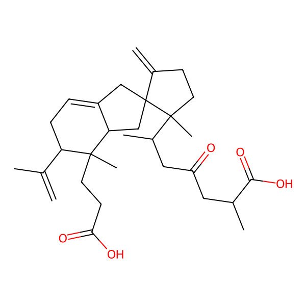 2D Structure of (2R,6R)-6-[(1'S,2R,3aR,4S,5S)-4-(2-carboxyethyl)-1',4-dimethyl-3'-methylidene-5-prop-1-en-2-ylspiro[3,3a,5,6-tetrahydro-1H-indene-2,2'-cyclopentane]-1'-yl]-2-methyl-4-oxoheptanoic acid