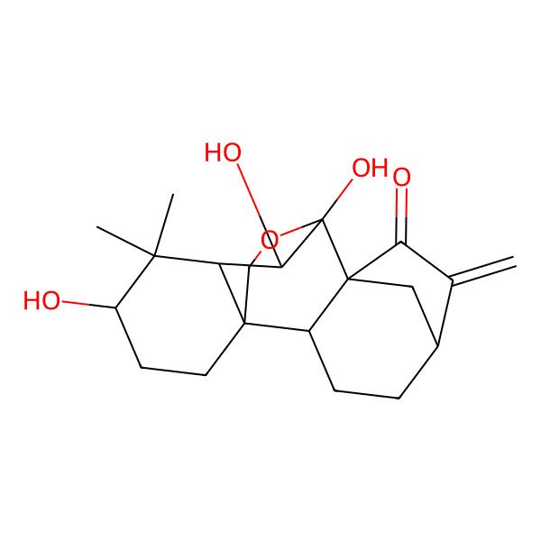 2D Structure of (1R,2S,5R,8S,9S,10S,11S,13R)-9,10,13-trihydroxy-12,12-dimethyl-6-methylidene-17-oxapentacyclo[7.6.2.15,8.01,11.02,8]octadecan-7-one