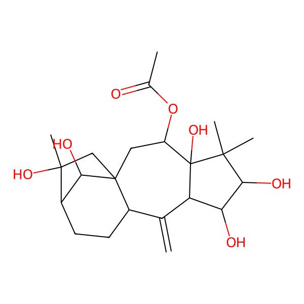 2D Structure of [(1S,3R,4R,6R,7R,8R,10S,13R,14R,16R)-4,6,7,14,16-pentahydroxy-5,5,14-trimethyl-9-methylidene-3-tetracyclo[11.2.1.01,10.04,8]hexadecanyl] acetate