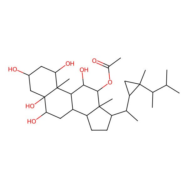 2D Structure of [(1S,3S,5R,6S,8S,9S,10S,11S,12S,13R,14S,17R)-1,3,5,6,11-pentahydroxy-10,13-dimethyl-17-[(1R)-1-[(1R,2S)-2-methyl-2-[(2S)-3-methylbutan-2-yl]cyclopropyl]ethyl]-1,2,3,4,6,7,8,9,11,12,14,15,16,17-tetradecahydrocyclopenta[a]phenanthren-12-yl] acetate