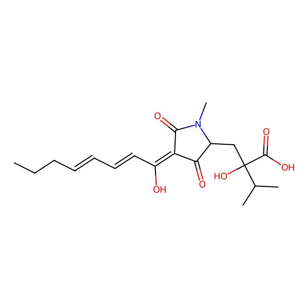 2D Structure of (2S)-2-hydroxy-2-[[(2S)-4-(1-hydroxyocta-2,4-dienylidene)-1-methyl-3,5-dioxopyrrolidin-2-yl]methyl]-3-methylbutanoic acid
