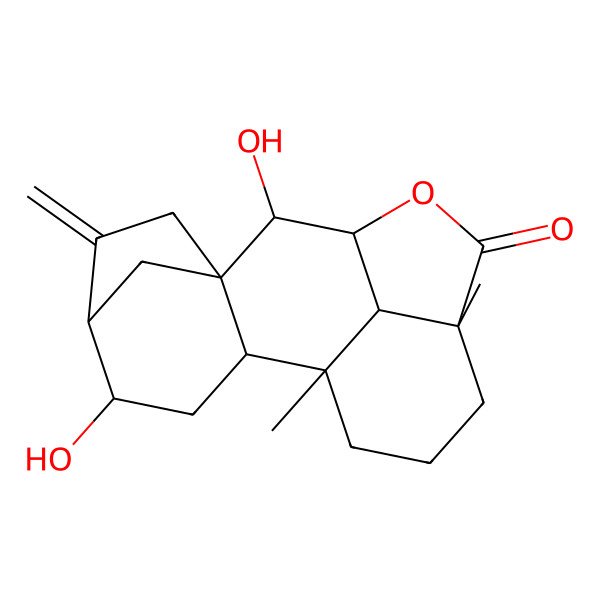 2D Structure of (1S,2S,4R,5R,8R,9R,10R,13R,17S)-4,9-dihydroxy-1,13-dimethyl-6-methylidene-11-oxapentacyclo[8.6.1.15,8.02,8.013,17]octadecan-12-one