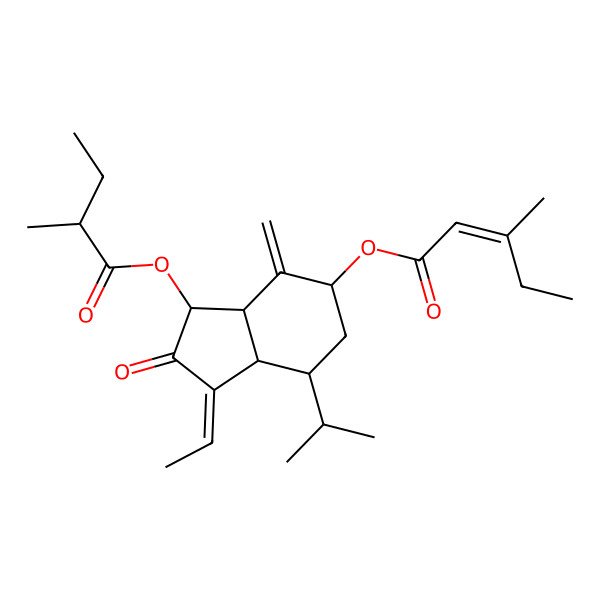 2D Structure of [(1Z,3S,3aR,5R,7S,7aS)-1-ethylidene-3-[(2R)-2-methylbutanoyl]oxy-4-methylidene-2-oxo-7-propan-2-yl-3,3a,5,6,7,7a-hexahydroinden-5-yl] (E)-3-methylpent-2-enoate