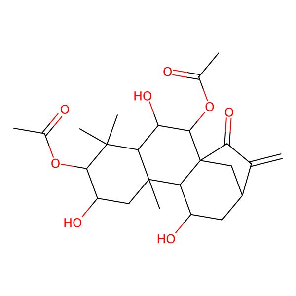 2D Structure of [(1R,2R,3R,4S,6R,7S,9R,10S,11S,13S)-2-acetyloxy-3,7,11-trihydroxy-5,5,9-trimethyl-14-methylidene-15-oxo-6-tetracyclo[11.2.1.01,10.04,9]hexadecanyl] acetate