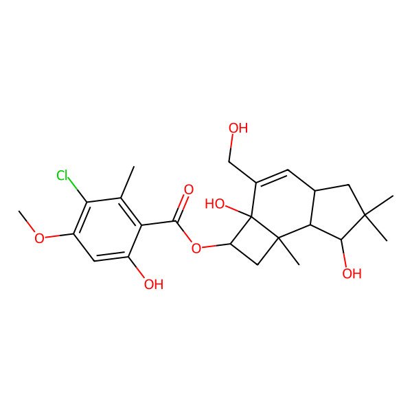 2D Structure of [2a,7-Dihydroxy-3-(hydroxymethyl)-6,6,7b-trimethyl-1,2,4a,5,7,7a-hexahydrocyclobuta[e]inden-2-yl] 3-chloro-6-hydroxy-4-methoxy-2-methylbenzoate