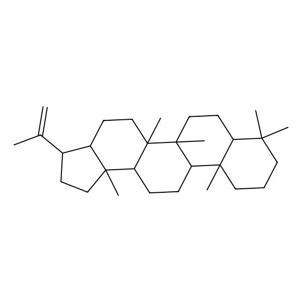 2D Structure of (3S,3aR,5aR,5bR,7aS,11aS,11bR,13aS,13bS)-5a,5b,8,8,11a,13b-hexamethyl-3-prop-1-en-2-yl-1,2,3,3a,4,5,6,7,7a,9,10,11,11b,12,13,13a-hexadecahydrocyclopenta[a]chrysene