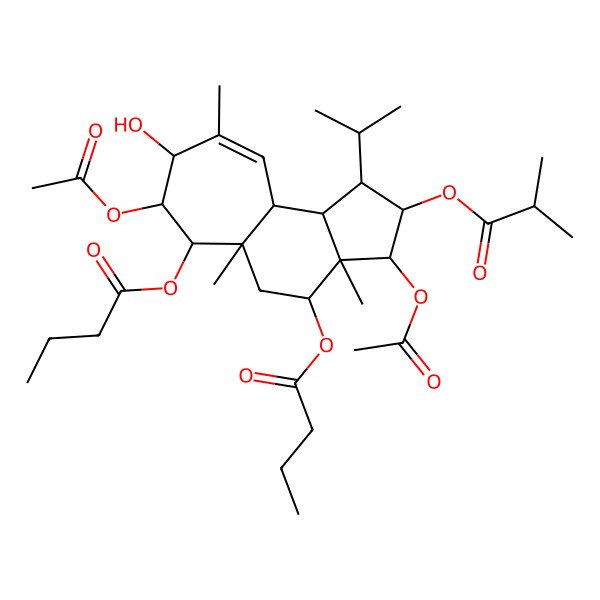 2D Structure of [(1R,2R,3R,3aR,4S,5aR,6S,7S,8S,10aS,10bR)-3,7-diacetyloxy-6-butanoyloxy-8-hydroxy-3a,5a,9-trimethyl-2-(2-methylpropanoyloxy)-1-propan-2-yl-1,2,3,4,5,6,7,8,10a,10b-decahydrocyclohepta[e]inden-4-yl] butanoate