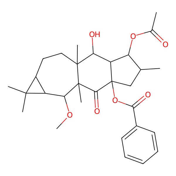 2D Structure of (4-Acetyloxy-2-hydroxy-10-methoxy-1,5,9,12,12-pentamethyl-8-oxo-7-tetracyclo[7.6.0.03,7.011,13]pentadecanyl) benzoate