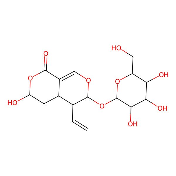 2D Structure of (3R,4aS,5R,6S)-5-ethenyl-3-hydroxy-6-[(2S,3R,4S,5S,6R)-3,4,5-trihydroxy-6-(hydroxymethyl)oxan-2-yl]oxy-4,4a,5,6-tetrahydro-3H-pyrano[3,4-c]pyran-1-one