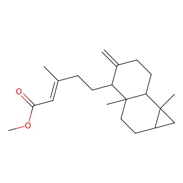 2D Structure of methyl (E)-5-[(1aS,3aR,4S,7aS,7bR)-3a,7b-dimethyl-5-methylidene-1,1a,2,3,4,6,7,7a-octahydrocyclopropa[a]naphthalen-4-yl]-3-methylpent-2-enoate