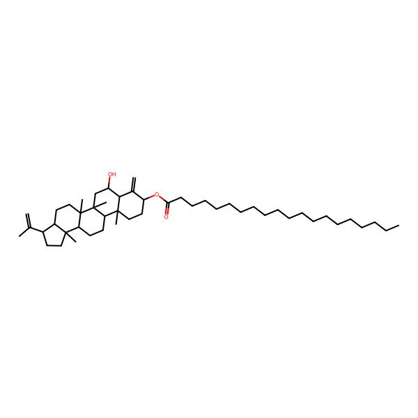 2D Structure of (7-Hydroxy-5a,5b,11a,13b-tetramethyl-8-methylidene-3-prop-1-en-2-yl-1,2,3,3a,4,5,6,7,7a,9,10,11,11b,12,13,13a-hexadecahydrocyclopenta[a]chrysen-9-yl) icosanoate
