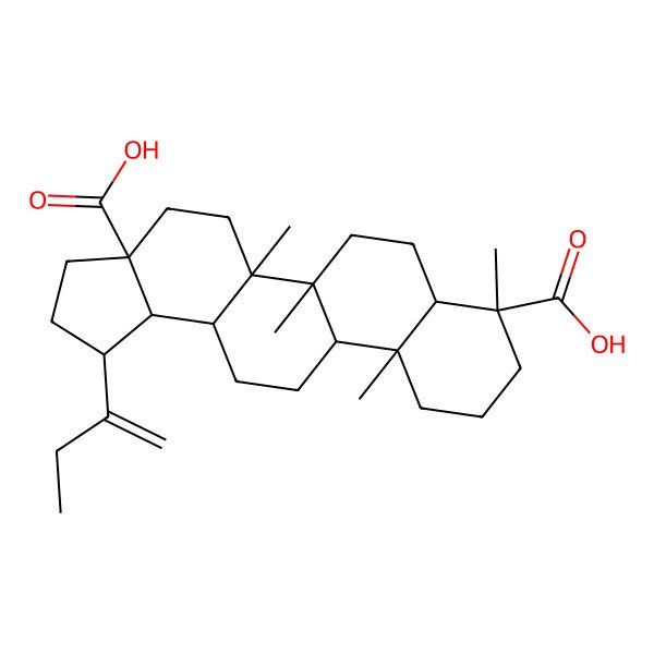 2D Structure of (1R,5aR,5bR,7aR,8R,11aR,11bR,13aR,13bR)-1-but-1-en-2-yl-5a,5b,8,11a-tetramethyl-1,2,3,4,5,6,7,7a,9,10,11,11b,12,13,13a,13b-hexadecahydrocyclopenta[a]chrysene-3a,8-dicarboxylic acid