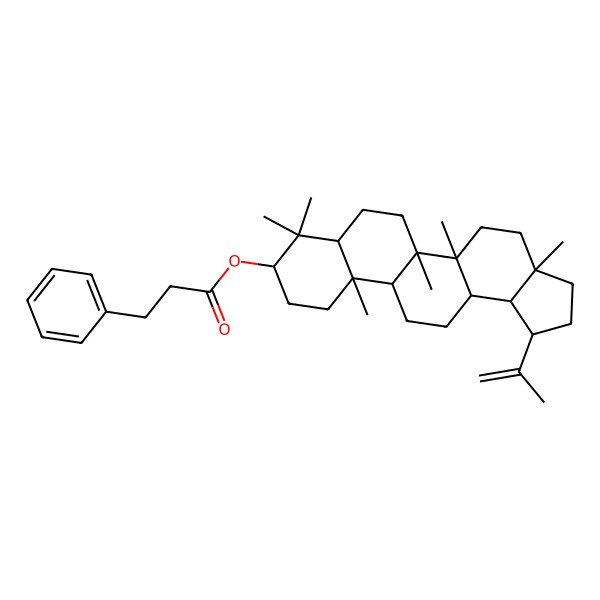 2D Structure of (3a,5a,5b,8,8,11a-Hexamethyl-1-prop-1-en-2-yl-1,2,3,4,5,6,7,7a,9,10,11,11b,12,13,13a,13b-hexadecahydrocyclopenta[a]chrysen-9-yl) 3-phenylpropanoate