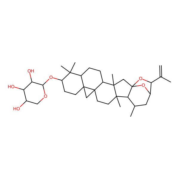 2D Structure of (2S,3R,4S,5R)-2-[[(1R,3S,4S,7R,9S,12R,14S,17R,18R,19R,21R,22R)-3,8,8,17,19-pentamethyl-22-prop-1-en-2-yl-23,24-dioxaheptacyclo[19.2.1.01,18.03,17.04,14.07,12.012,14]tetracosan-9-yl]oxy]oxane-3,4,5-triol