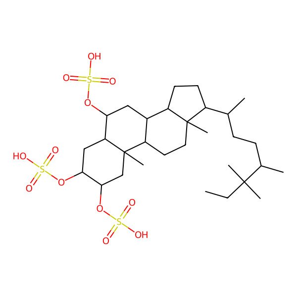 2D Structure of [(2S,3S,5S,6S,10R,13R,17R)-10,13-dimethyl-2,3-disulfooxy-17-[(1R)-1,4,5,5-tetramethylheptyl]-2,3,4,5,6,7,8,9,11,12,14,15,16,17-tetradecahydro-1H-cyclopenta[a]phenanthren-6-yl] hydrogen sulfate