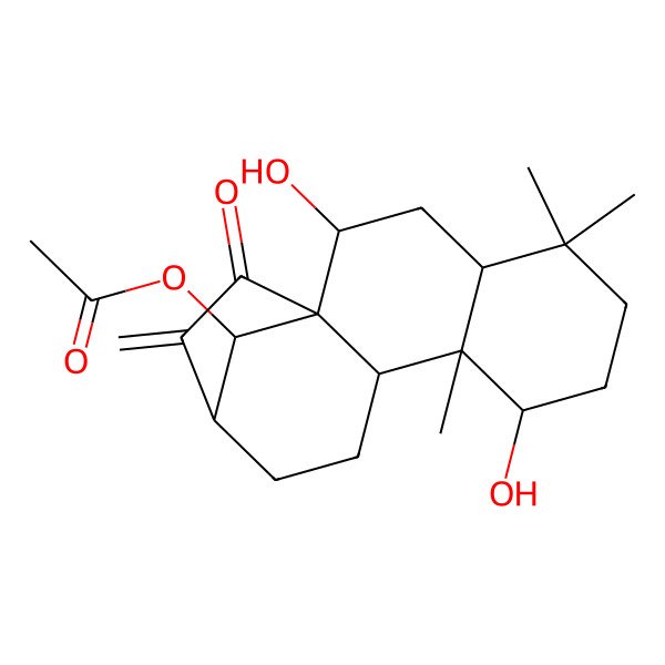 2D Structure of (2,8-Dihydroxy-5,5,9-trimethyl-14-methylidene-15-oxo-16-tetracyclo[11.2.1.01,10.04,9]hexadecanyl) acetate