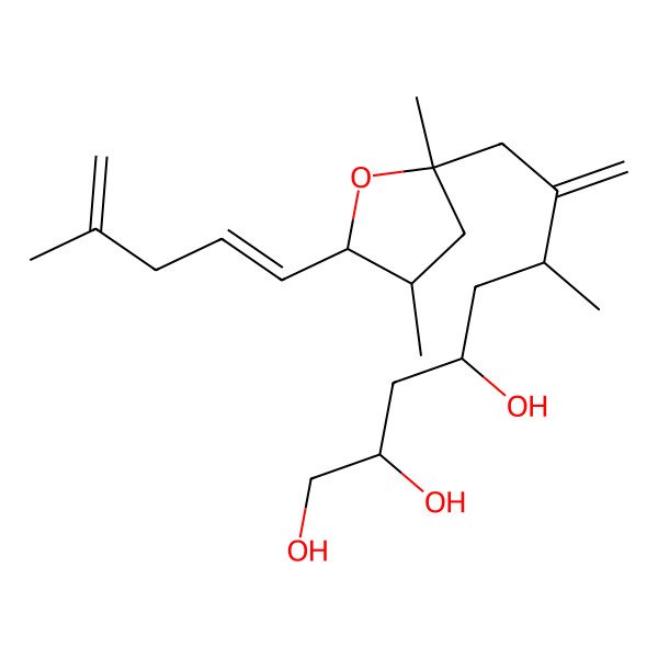 2D Structure of Amphidinin A