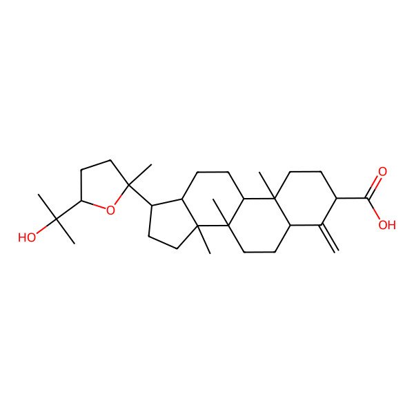 2D Structure of 17-[5-(2-hydroxypropan-2-yl)-2-methyloxolan-2-yl]-8,10,14-trimethyl-4-methylidene-2,3,5,6,7,9,11,12,13,15,16,17-dodecahydro-1H-cyclopenta[a]phenanthrene-3-carboxylic acid