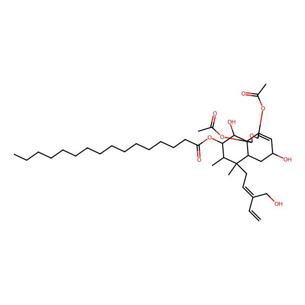2D Structure of [(1R,3S,5S,6aR,7R,8R,9S,10S,10aR)-1,3-diacetyloxy-5,10-dihydroxy-7-[(2Z)-3-(hydroxymethyl)penta-2,4-dienyl]-7,8-dimethyl-1,3,5,6,6a,8,9,10-octahydrobenzo[d][2]benzofuran-9-yl] hexadecanoate