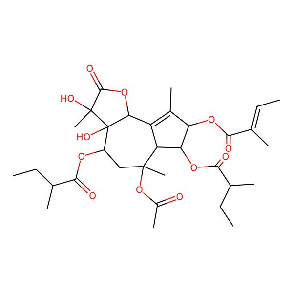 2D Structure of [(3R,3aS,4S,6R,6aR,7R,8R,9bS)-6-acetyloxy-3,3a-dihydroxy-3,6,9-trimethyl-7-[(2S)-2-methylbutanoyl]oxy-8-[(E)-2-methylbut-2-enoyl]oxy-2-oxo-4,5,6a,7,8,9b-hexahydroazuleno[4,5-b]furan-4-yl] (2R)-2-methylbutanoate