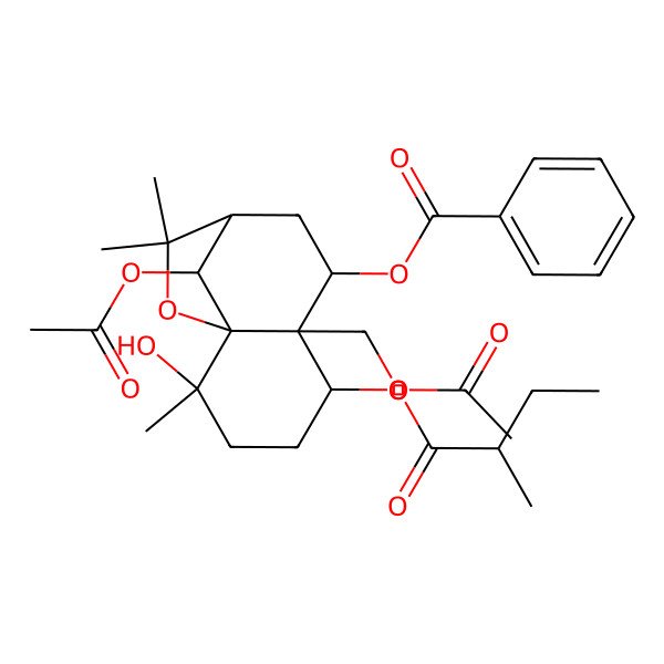 2D Structure of [(1S,2S,5S,6S,7R,9R,12R)-12-acetyloxy-6-(acetyloxymethyl)-2-hydroxy-2,10,10-trimethyl-5-[(2R)-2-methylbutanoyl]oxy-11-oxatricyclo[7.2.1.01,6]dodecan-7-yl] benzoate