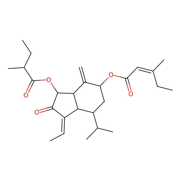 2D Structure of [(1E,3S,3aR,5R,7S,7aS)-1-ethylidene-3-[(2R)-2-methylbutanoyl]oxy-4-methylidene-2-oxo-7-propan-2-yl-3,3a,5,6,7,7a-hexahydroinden-5-yl] (E)-3-methylpent-2-enoate