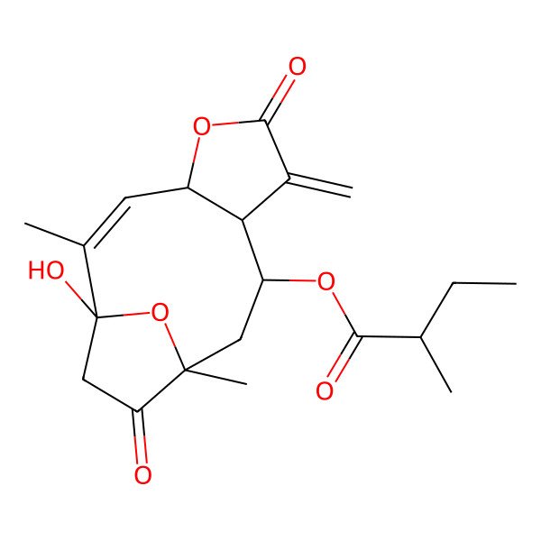 2D Structure of (1-Hydroxy-2,11-dimethyl-7-methylidene-6,12-dioxo-5,14-dioxatricyclo[9.2.1.04,8]tetradec-2-en-9-yl) 2-methylbutanoate