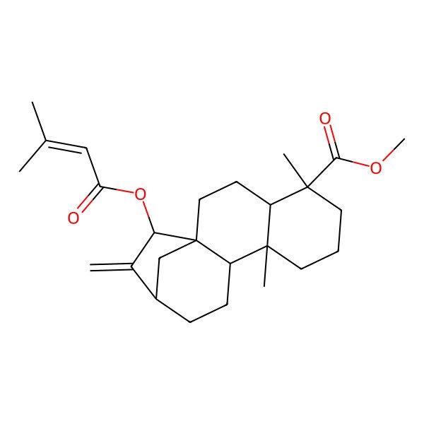 2D Structure of methyl (1R,4S,5R,9S,10S,13R,15S)-5,9-dimethyl-15-(3-methylbut-2-enoyloxy)-14-methylidenetetracyclo[11.2.1.01,10.04,9]hexadecane-5-carboxylate
