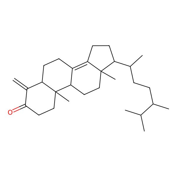 2D Structure of (5R,9R,10R,13R,17R)-17-[(2R,5R)-5,6-dimethylheptan-2-yl]-10,13-dimethyl-4-methylidene-2,5,6,7,9,11,12,15,16,17-decahydro-1H-cyclopenta[a]phenanthren-3-one