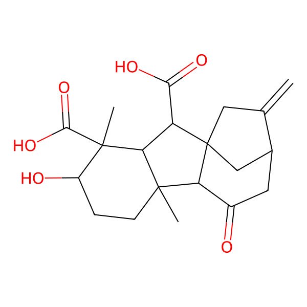 2D Structure of 5-Hydroxy-4,8-dimethyl-13-methylidene-10-oxotetracyclo[10.2.1.01,9.03,8]pentadecane-2,4-dicarboxylic acid