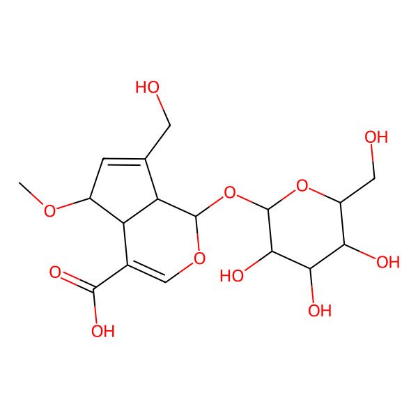 2D Structure of (1S,4aS,5S,7aS)-7-(hydroxymethyl)-5-methoxy-1-[(2S,3R,4S,5S,6R)-3,4,5-trihydroxy-6-(hydroxymethyl)oxan-2-yl]oxy-1,4a,5,7a-tetrahydrocyclopenta[c]pyran-4-carboxylic acid