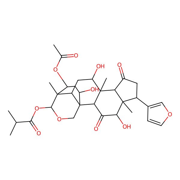 2D Structure of [(1S,2S,4R,5S,6S,9S,10S,11R,13R,14R,15S,18S,20R)-20-acetyloxy-6-(furan-3-yl)-4,11,18-trihydroxy-5,10,14-trimethyl-3,8-dioxo-16-oxapentacyclo[12.3.3.01,13.02,10.05,9]icosan-15-yl] 2-methylpropanoate